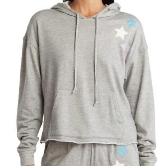 Wildfox Sweat Starlight Hoody Sweatshirt in Heather Gray Size Xl - Picture 1 of 6